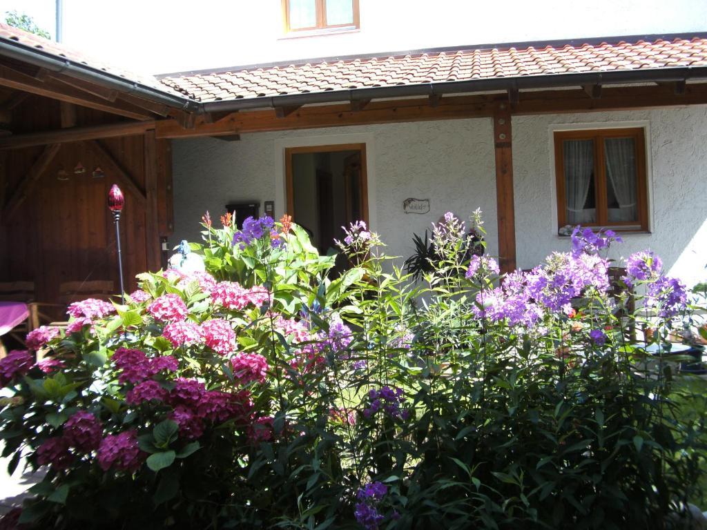 Appartementhaus Elisabeth Winklhofer Bad Füssing Kamer foto